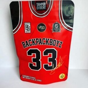 Number 33 aka Scottie Pippen
