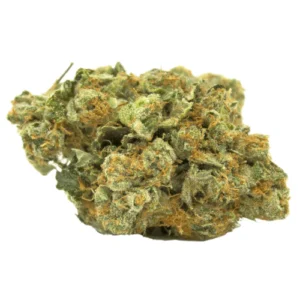 Tropicana Cherry | Premium Exotic Cannabis Flower