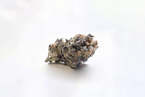 Girl Scout Cookies (GSC)