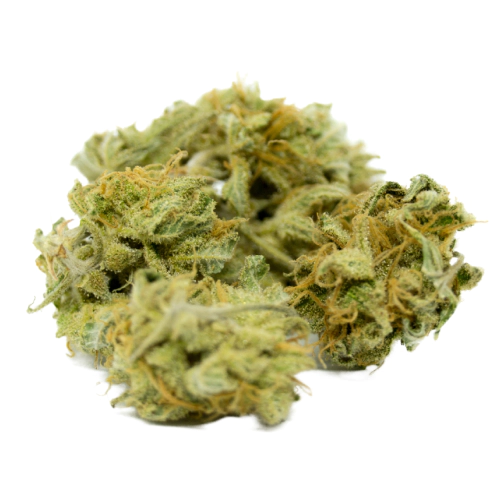 Girl Scout Cookies (GSC)