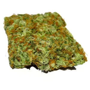 sativa-dominant-hybrid_1766763452.webp Jack Herer